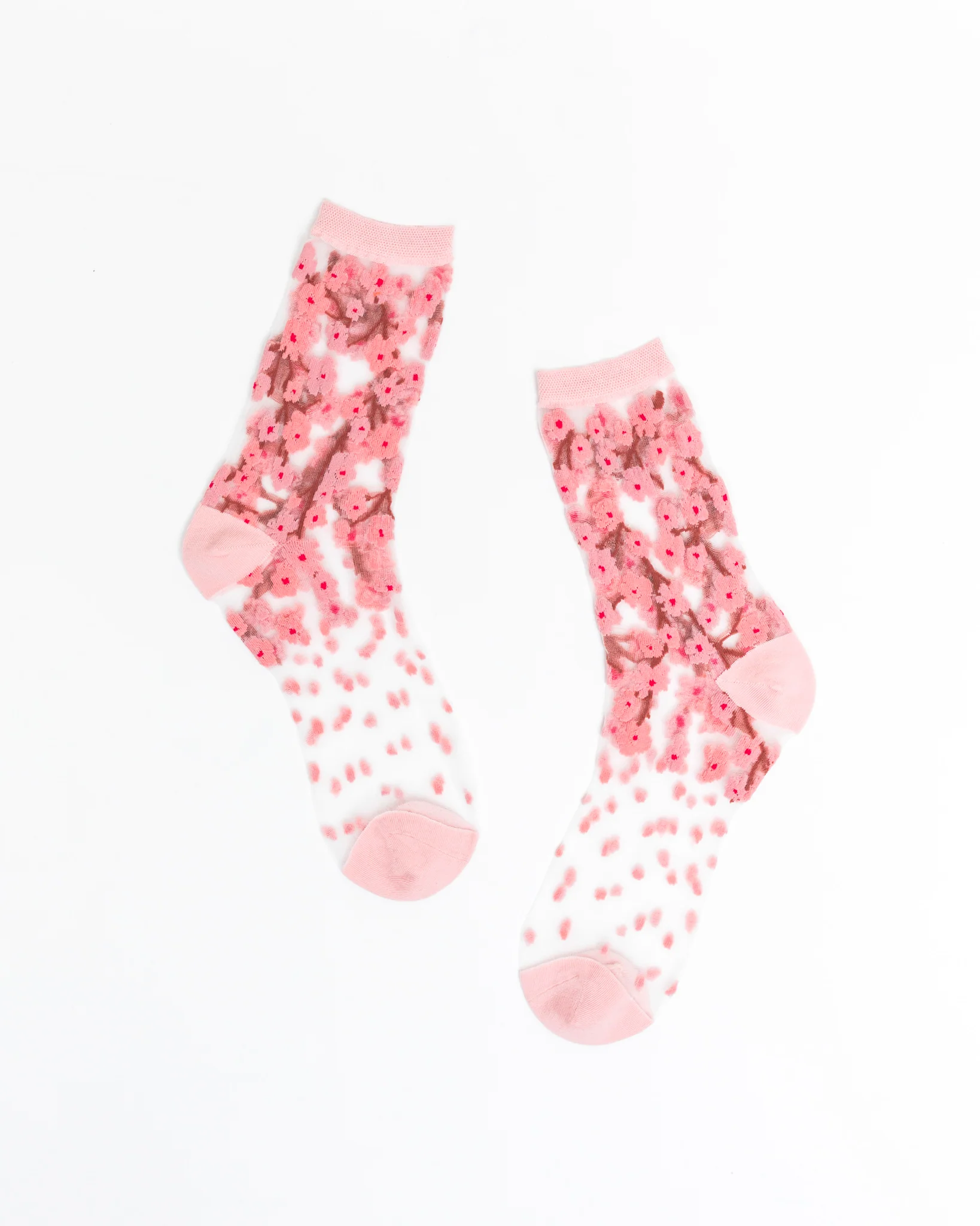 Floral Lovers Bundle 1 - Image 4
